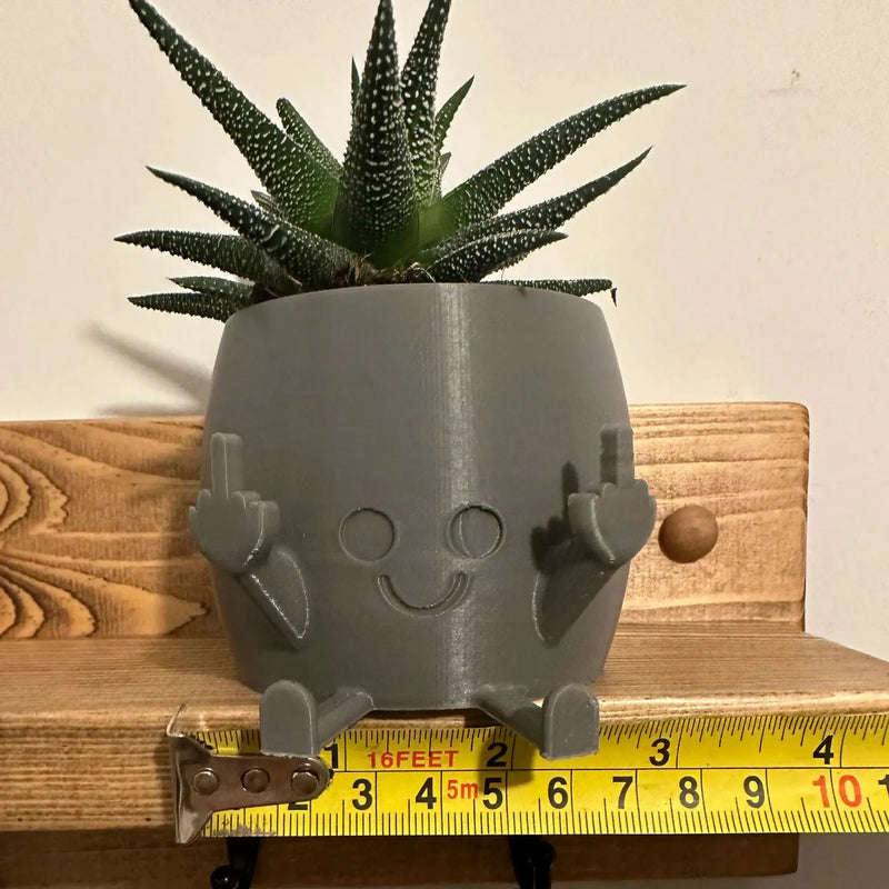 🤣Smiling Plant Pot with Middle Fingers Up