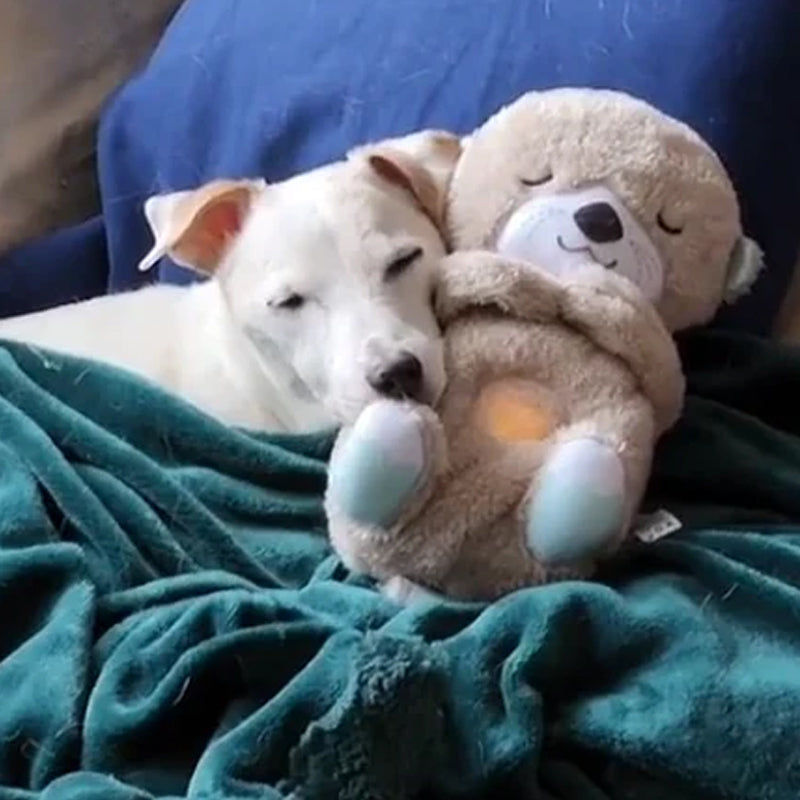 Calming Otter Plush