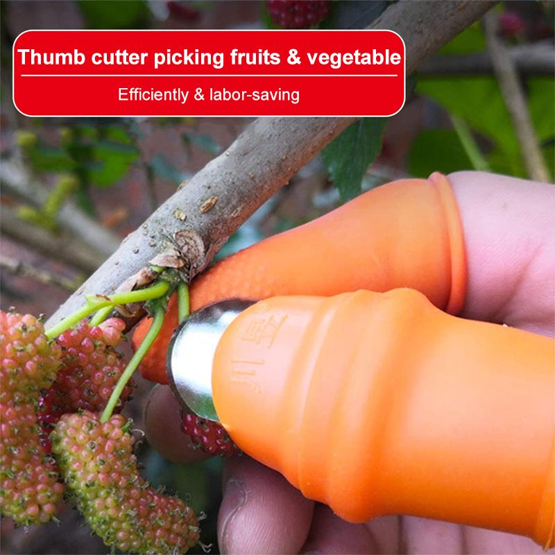 Pick vegetables, pick fruit thumb knife