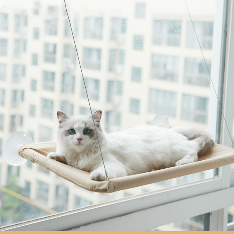 Indoor Cat Hammock