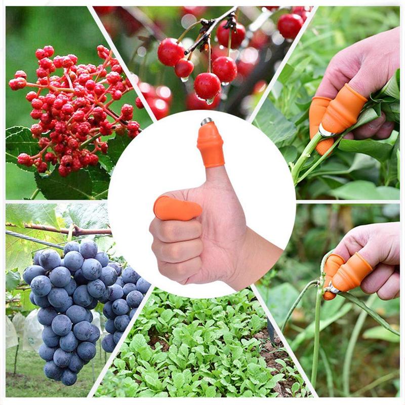 Pick vegetables, pick fruit thumb knife